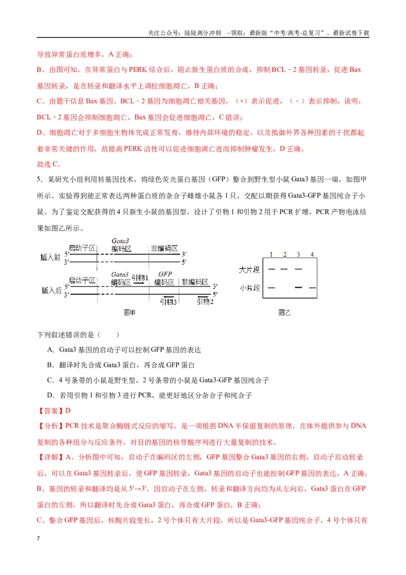 《专题22基因的表达、基因与性状的关系（解析版)_06-生物-高考总复习_一轮复习_2024年_2024年高考生物一轮复习重难点专项突破_资料》第7页预览