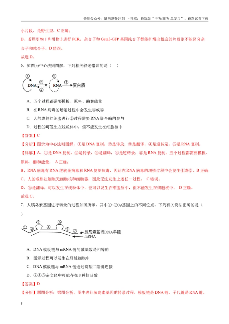 《专题22基因的表达、基因与性状的关系（解析版)_06-生物-高考总复习_一轮复习_2024年_2024年高考生物一轮复习重难点专项突破_资料》第8页预览