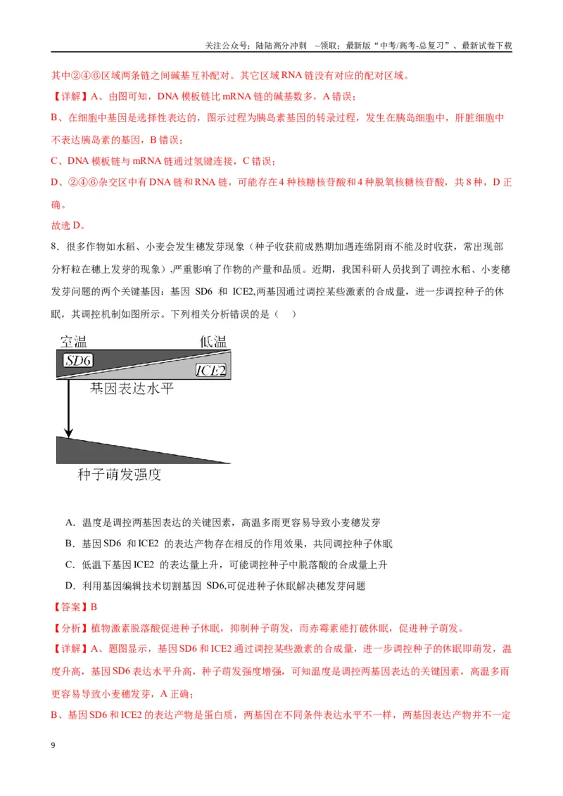 《专题22基因的表达、基因与性状的关系（解析版)_06-生物-高考总复习_一轮复习_2024年_2024年高考生物一轮复习重难点专项突破_资料》第9页预览