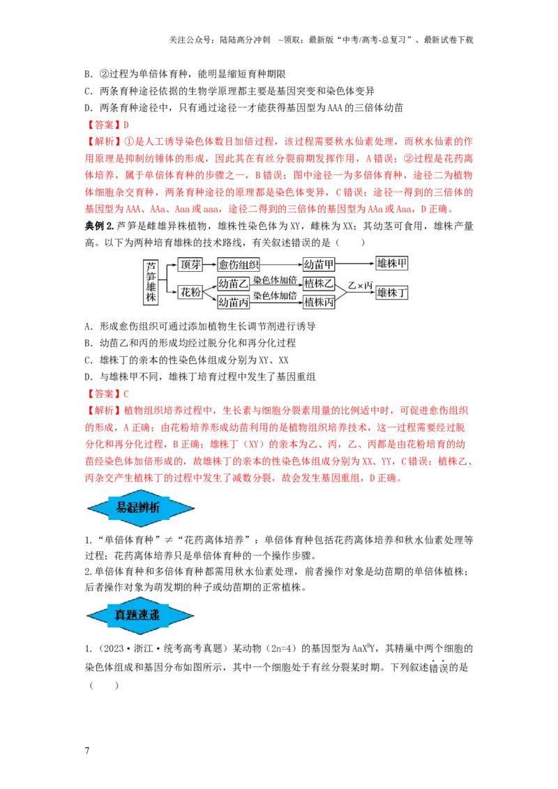 《专题21染色体变异与育种（串讲）（解析版）_06-生物-高考总复习_一轮复习_2024年_2024年高考生物一轮复习串讲精练知识点梳理练习题_串讲》第7页预览