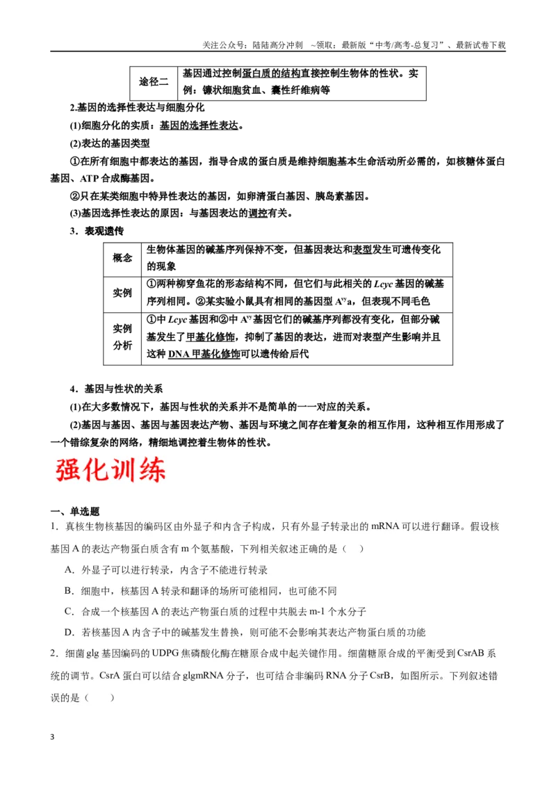 《专题22基因的表达、基因与性状的关系（原卷版)_06-生物-高考总复习_一轮复习_2024年_2024年高考生物一轮复习重难点专项突破_资料》第3页预览