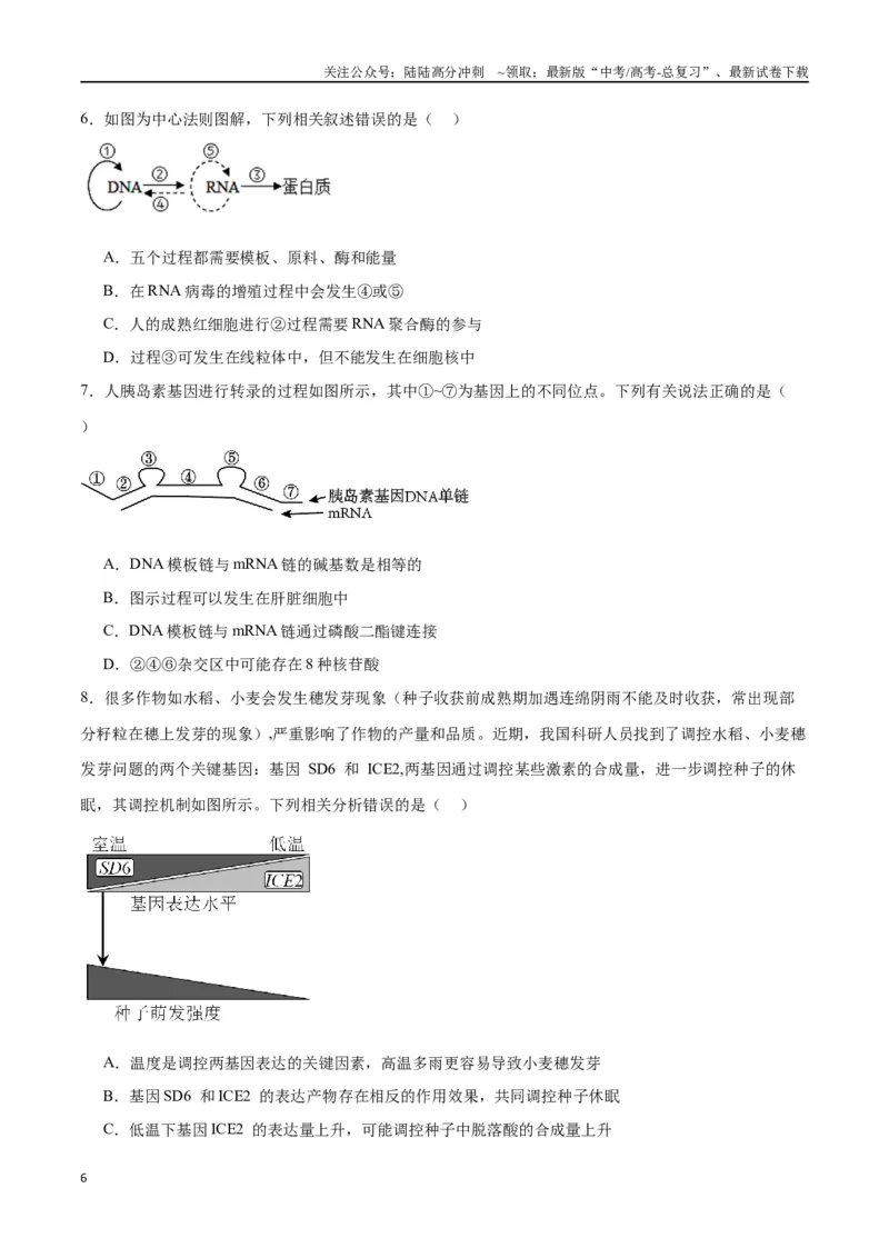 《专题22基因的表达、基因与性状的关系（原卷版)_06-生物-高考总复习_一轮复习_2024年_2024年高考生物一轮复习重难点专项突破_资料》第6页预览