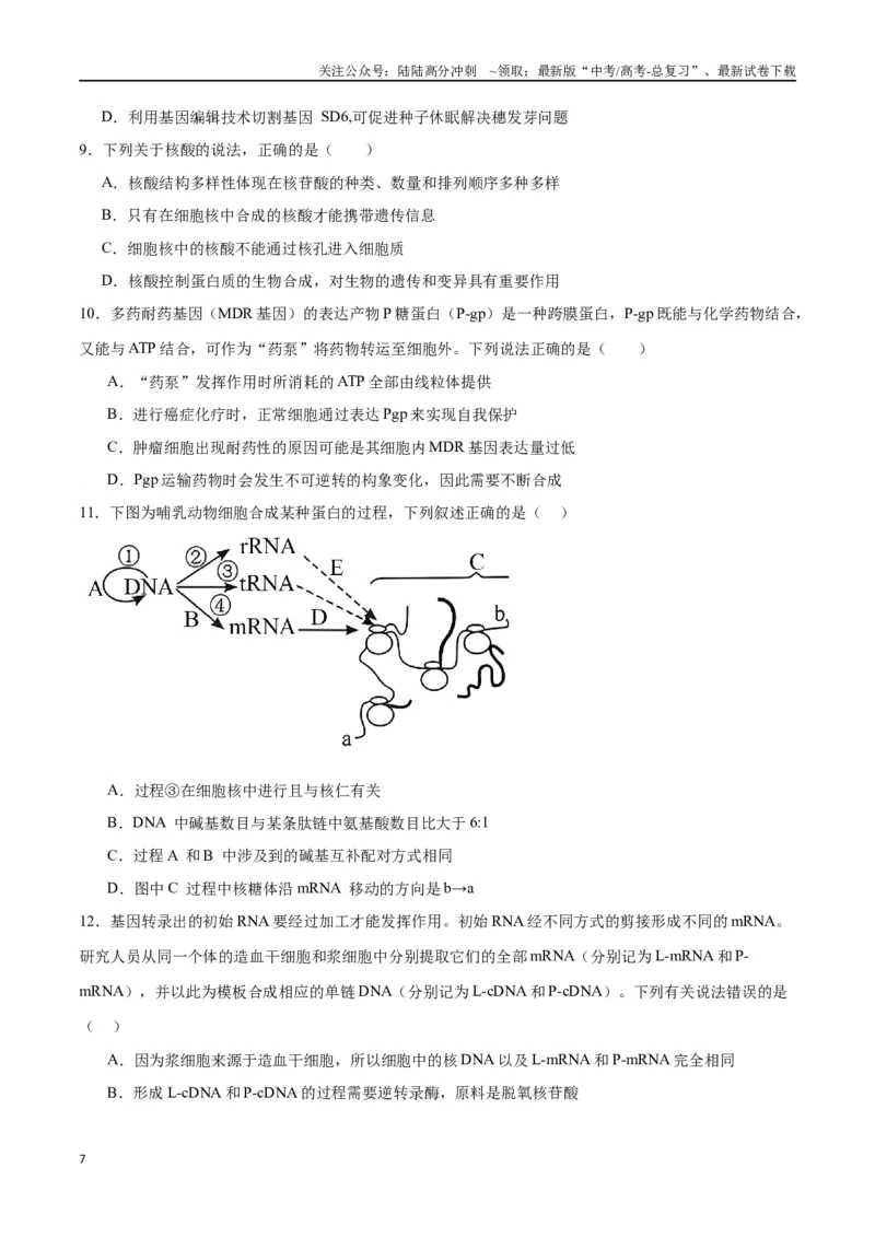 《专题22基因的表达、基因与性状的关系（原卷版)_06-生物-高考总复习_一轮复习_2024年_2024年高考生物一轮复习重难点专项突破_资料》第7页预览