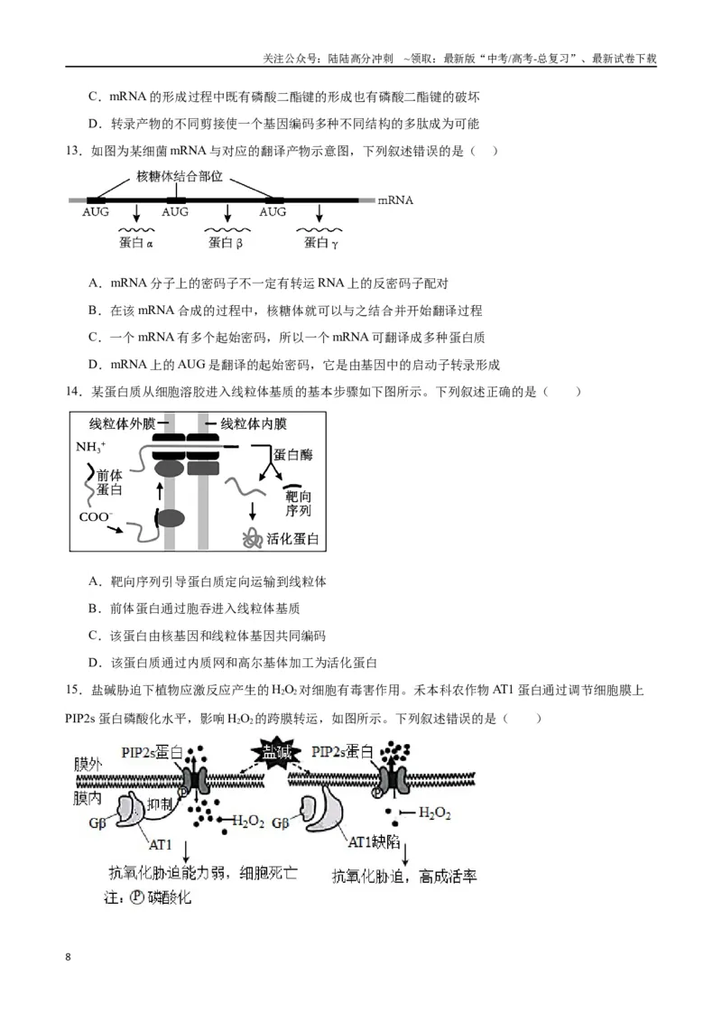 《专题22基因的表达、基因与性状的关系（原卷版)_06-生物-高考总复习_一轮复习_2024年_2024年高考生物一轮复习重难点专项突破_资料》第8页预览
