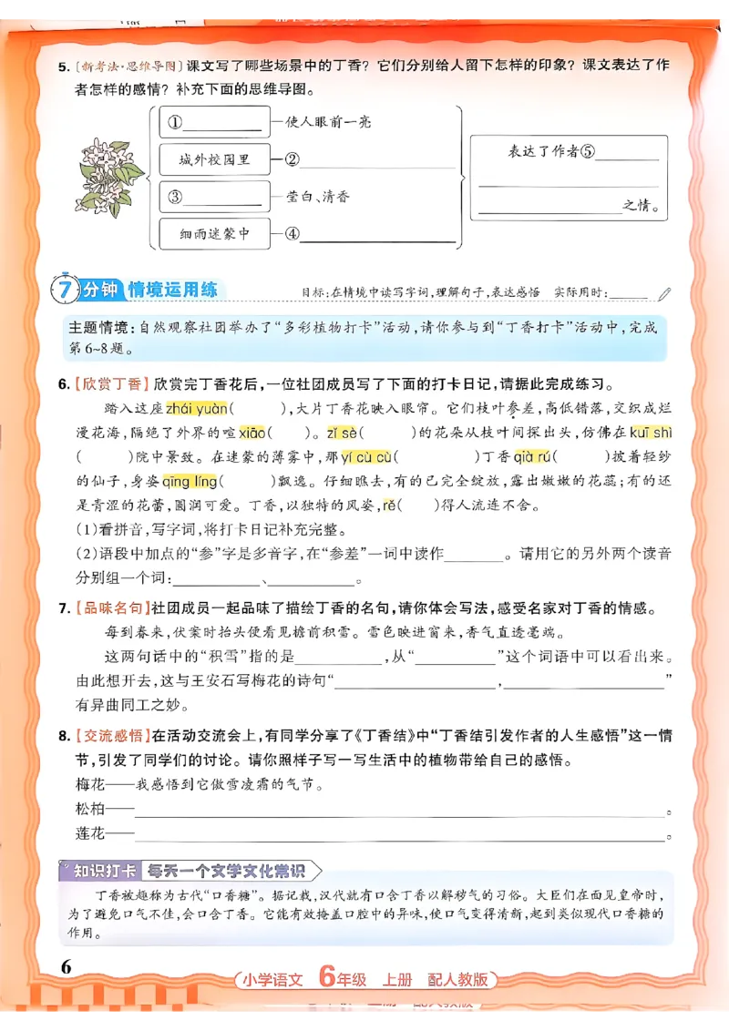 《六上王朝霞活页同步练习册26秋_小初高学习资料合集（每天更新）_2026秋语文《王朝霞活页同步练习册》1-6年级上册(1)》第6页预览
