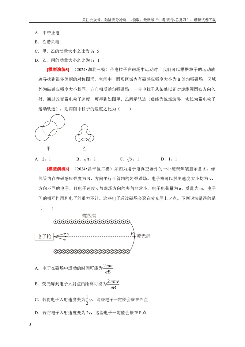 《专题20磁场对运动电荷的作用（学生版）_04-物理-高考总复习_专项复习_2025年_2025年高考物理热点知识讲练与题型归纳（全国通用）_资料》第5页预览