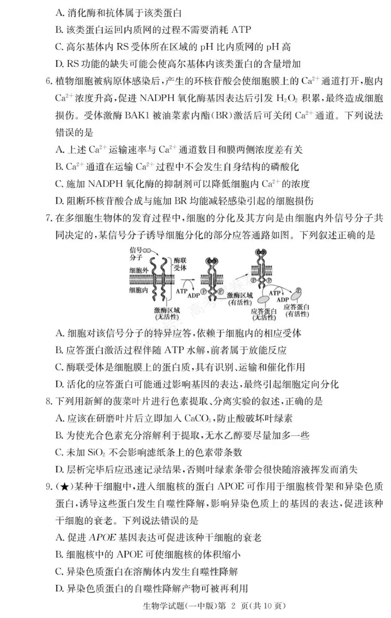 《生物试卷（26月考一Y）_小初高学习资料合集（每天更新）_长沙一中月考一2026届湖南省长沙一中高三上学期9月月考（一）全科_06生物_湖南省长沙一中高三上学期9月月考（一）》第2页预览