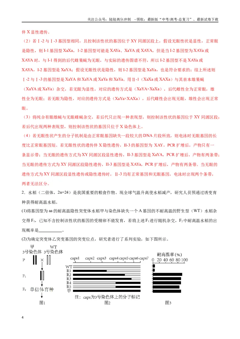 《专题19遗传综合实验分析（解析版)_06-生物-高考总复习_一轮复习_2024年_2024年高考生物一轮复习重难点专项突破_资料》第4页预览
