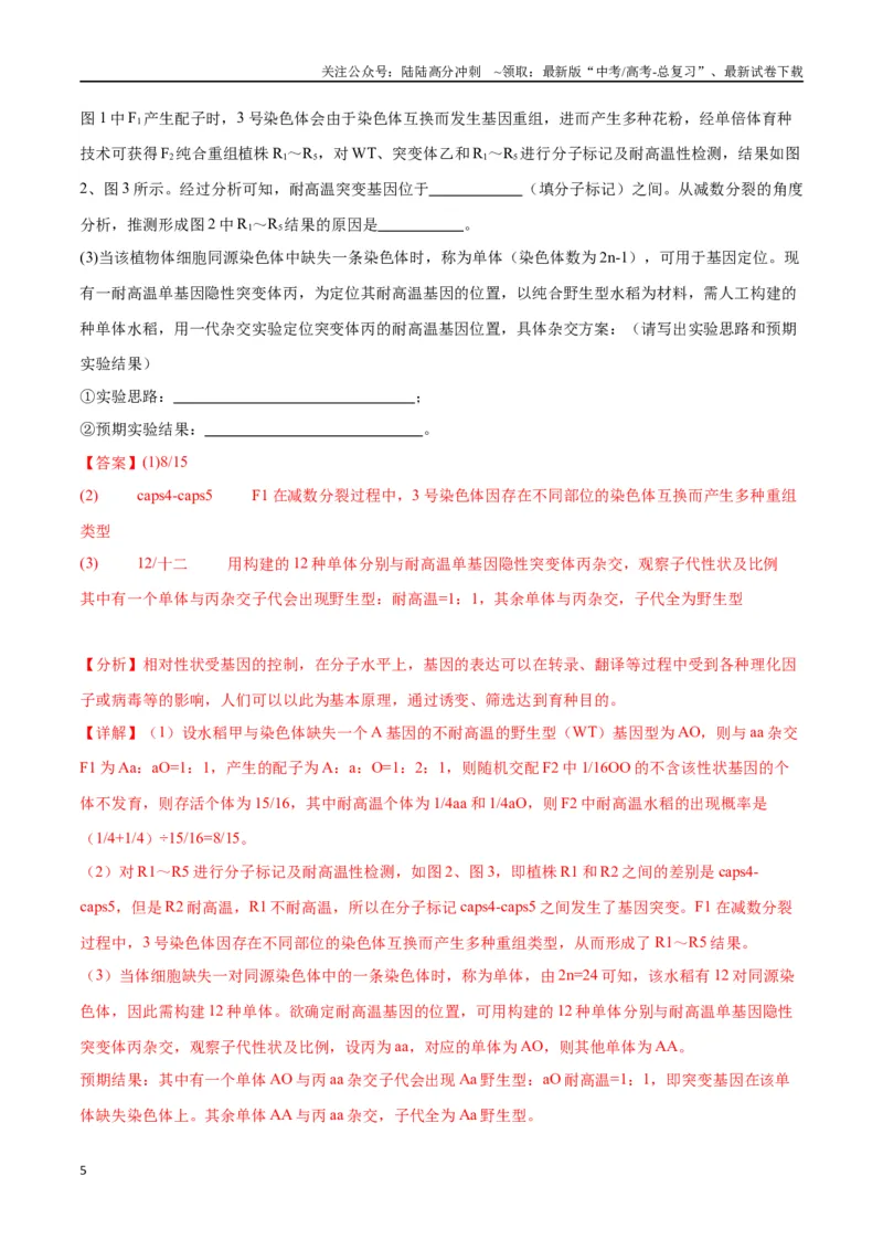 《专题19遗传综合实验分析（解析版)_06-生物-高考总复习_一轮复习_2024年_2024年高考生物一轮复习重难点专项突破_资料》第5页预览