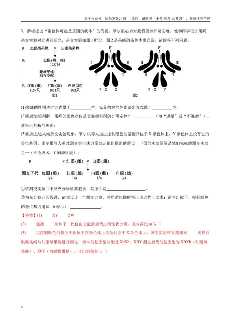 《专题19遗传综合实验分析（解析版)_06-生物-高考总复习_一轮复习_2024年_2024年高考生物一轮复习重难点专项突破_资料》第6页预览