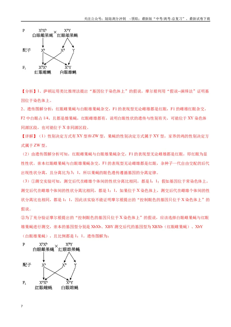 《专题19遗传综合实验分析（解析版)_06-生物-高考总复习_一轮复习_2024年_2024年高考生物一轮复习重难点专项突破_资料》第7页预览