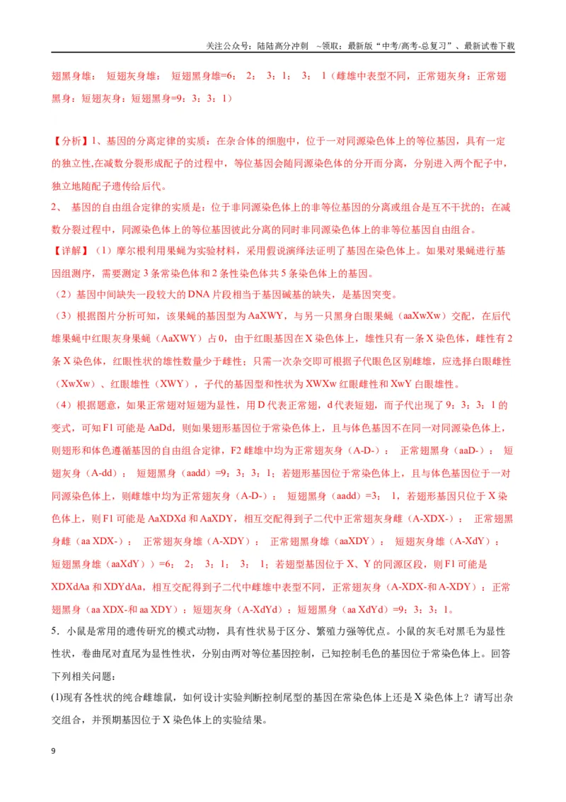 《专题19遗传综合实验分析（解析版)_06-生物-高考总复习_一轮复习_2024年_2024年高考生物一轮复习重难点专项突破_资料》第9页预览