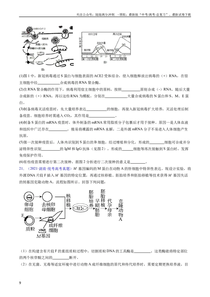 《专题20细胞工程与胚胎工程-五年（2019-2023）高考生物真题分项汇编（全国通用）（学生版）_06-生物-高考总复习_专项复习_2024年_2019-2023高考生物五年真题分项汇编（全国通用）》第9页预览