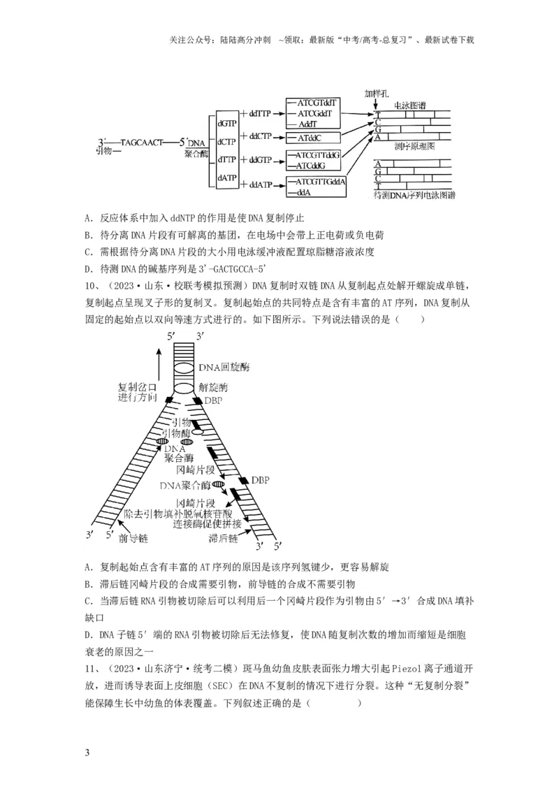 《专题18DNA分子的结构、复制及基因的本质（精练）（原卷版）_06-生物-高考总复习_一轮复习_2024年_2024年高考生物一轮复习串讲精练知识点梳理练习题_精练》第3页预览
