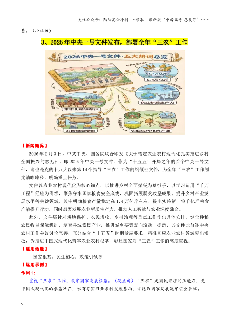 《专题202月最新热点作文素材精选01（春节假期出行+“三农“工作+海南自贸港等）_专项复习_2026年-语文专项复习_2026年高考语文作文写作核心技法指导（全国通用）-G393_资料》第5页预览