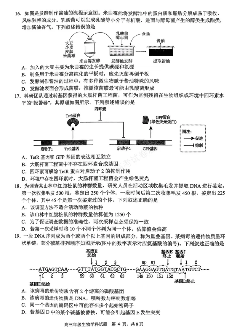 《生物_浙江名校协作体（G12）高三9月返校联考_试卷_小初高学习资料合集（每天更新）_浙江9月返校联考2026届浙江名校协作体（G12）高三9月返校联考全科》第4页预览