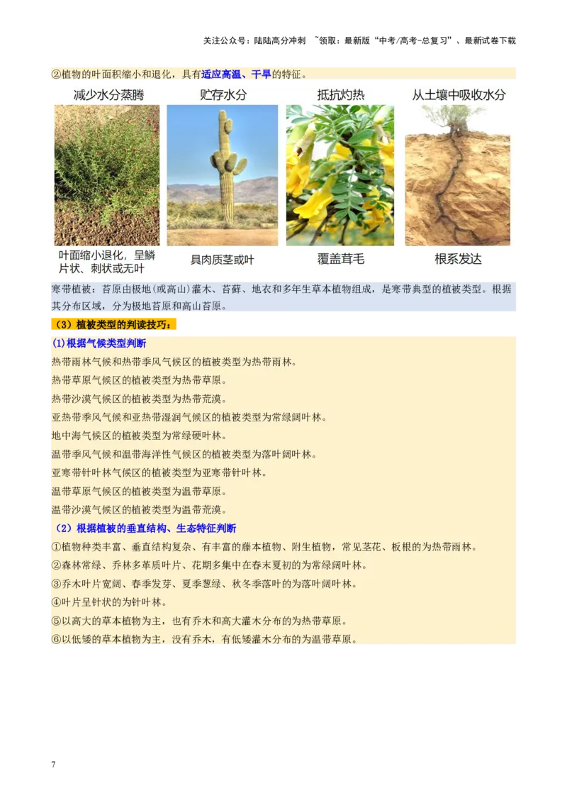 《第16讲植被和土壤（讲义）（教师版）_07-地理-高考总复习_一轮复习_2025年_2025年高考地理一轮复习讲义+练习+课件（新教材新高考）》第7页预览