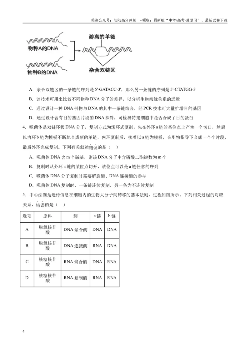 《专题21DNA分子的结构、复制与基因的本质（原卷版)_06-生物-高考总复习_一轮复习_2024年_2024年高考生物一轮复习重难点专项突破_资料》第4页预览