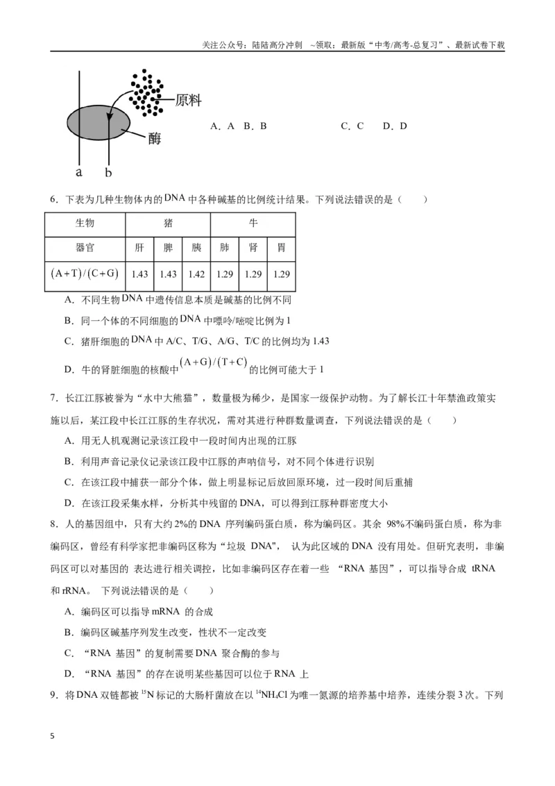 《专题21DNA分子的结构、复制与基因的本质（原卷版)_06-生物-高考总复习_一轮复习_2024年_2024年高考生物一轮复习重难点专项突破_资料》第5页预览