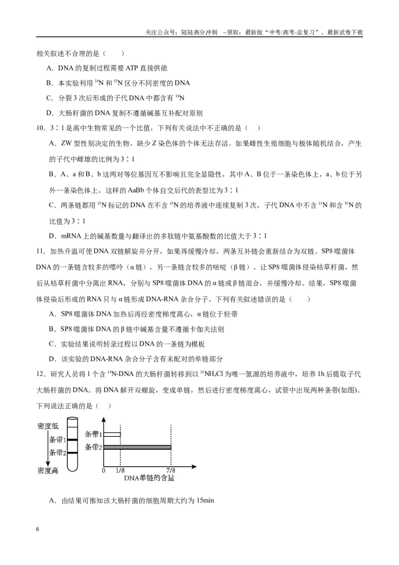 《专题21DNA分子的结构、复制与基因的本质（原卷版)_06-生物-高考总复习_一轮复习_2024年_2024年高考生物一轮复习重难点专项突破_资料》第6页预览