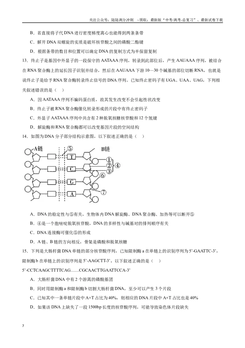 《专题21DNA分子的结构、复制与基因的本质（原卷版)_06-生物-高考总复习_一轮复习_2024年_2024年高考生物一轮复习重难点专项突破_资料》第7页预览