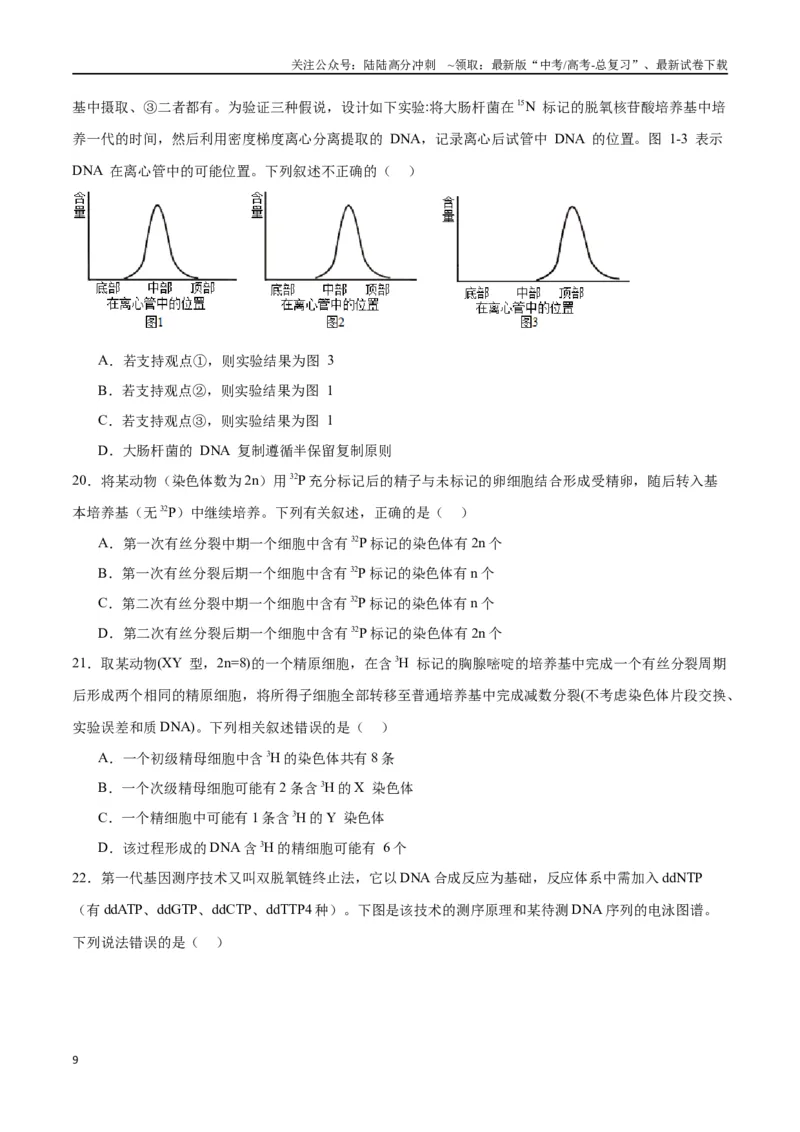 《专题21DNA分子的结构、复制与基因的本质（原卷版)_06-生物-高考总复习_一轮复习_2024年_2024年高考生物一轮复习重难点专项突破_资料》第9页预览