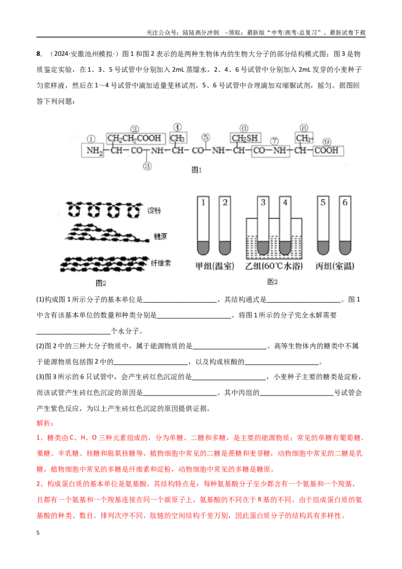 《专题19实验必刷题（教师版）_06-生物-高考总复习_二轮复习_2025年_2025年高考生物二轮热点题型归纳与变式演练（新高考通用）》第5页预览