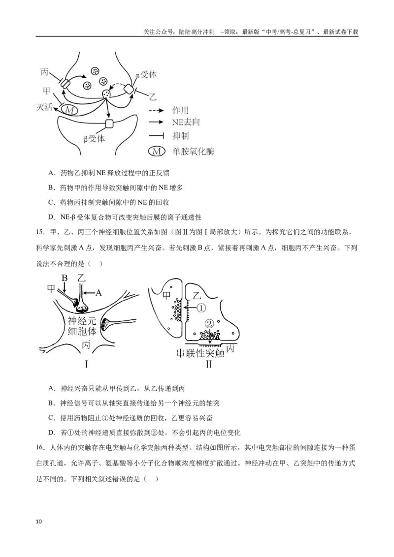 《专题26神经调节（原卷版)_06-生物-高考总复习_一轮复习_2024年_2024年高考生物一轮复习重难点专项突破_资料》第10页预览