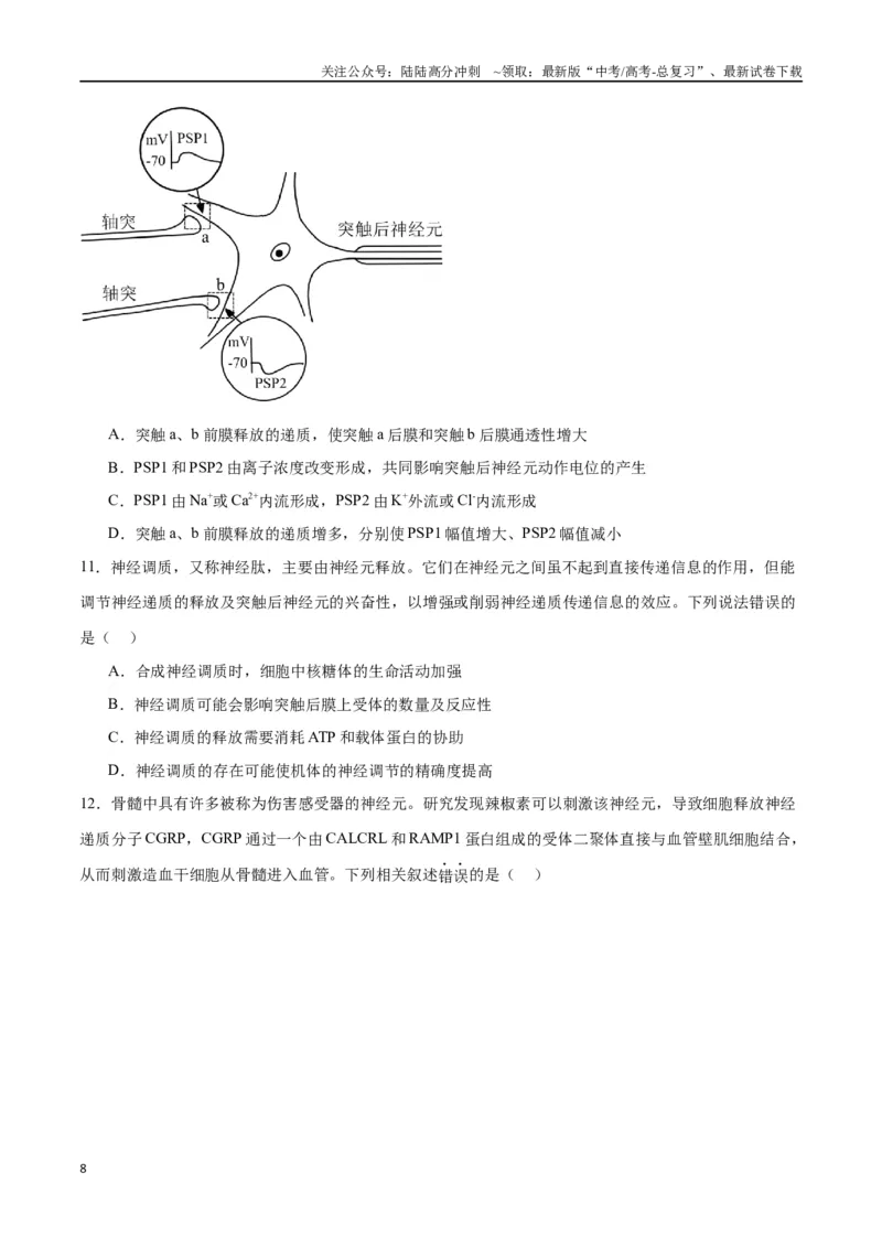 《专题26神经调节（原卷版)_06-生物-高考总复习_一轮复习_2024年_2024年高考生物一轮复习重难点专项突破_资料》第8页预览