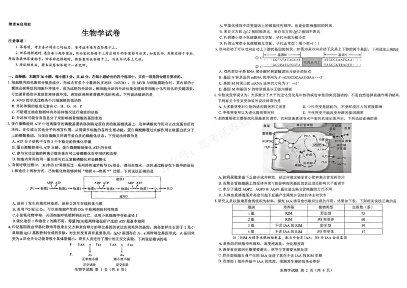 《生物_名校教研联盟·陕西西安新城区高三9月考试_答案_副本_小初高学习资料合集（每天更新）_陕西西安9月联考2026届名校教研联盟·陕西西安新城区高三9月考试全科》第1页预览
