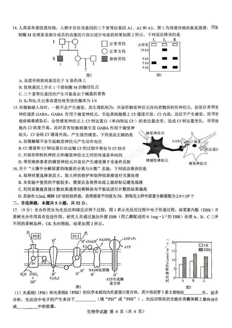 《生物_名校教研联盟·陕西西安新城区高三9月考试_答案_副本_小初高学习资料合集（每天更新）_陕西西安9月联考2026届名校教研联盟·陕西西安新城区高三9月考试全科》第3页预览