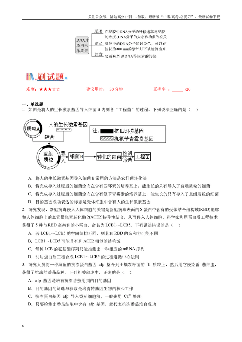《专题25基因工程（原卷版）_06-生物-高考总复习_专项复习_2024年_2024年高考生物经典小题必刷_资料》第4页预览