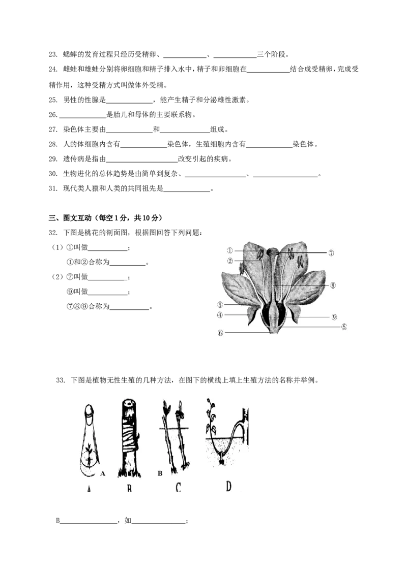 《重庆市江津实验中学、李市中学、白沙中学2016_2017学年八年级生物下学期期中联考试题新人教版_初中全科目同步习题+精品试卷（7-9年级）(1)_25秋初中生物《同步习题+精品试卷》》第3页预览