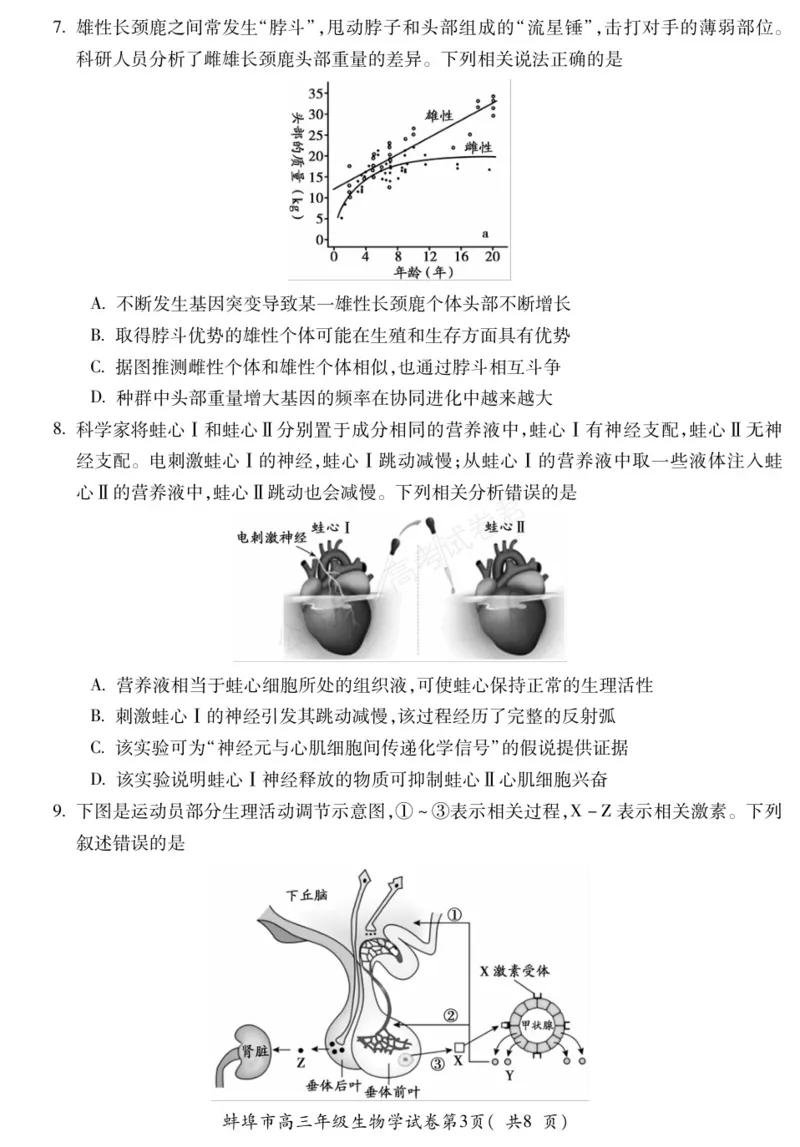 《生物安徽省蚌埠市2025-2026学年高三上学期调研性监测_副本_小初高学习资料合集（每天更新）_安徽调研监测2026届安徽省蚌埠市高三上学期调研性监测全科》第3页预览