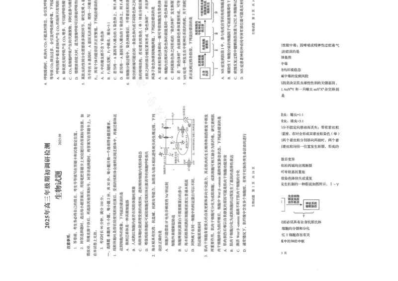《生物试题_小初高学习资料合集(每天更新)_山东青岛初调研2026届山东省青岛市高三上学期初调研检测全科_06生物_山东省青岛市高三上学期初调研检测》第1页预览