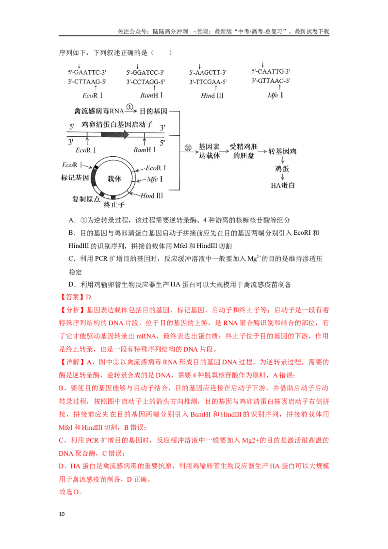 《专题18基因工程（解析版）_06-生物-高考总复习_专项复习_2025年_2024年高考三模试题分类汇编生物2新高考通用》第10页预览
