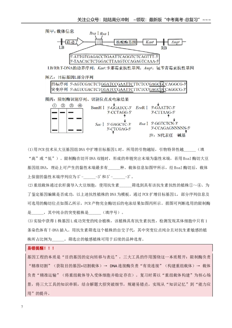《专题20基因工程的应用（高效培优讲义）（学生版）_06-生物-高考总复习_一轮复习_2026年-生物高考一轮复习_2026年高考生物一轮复习讲义+练习+课件（新教材新高考）-G55_2026版_一轮培优提升》第7页预览