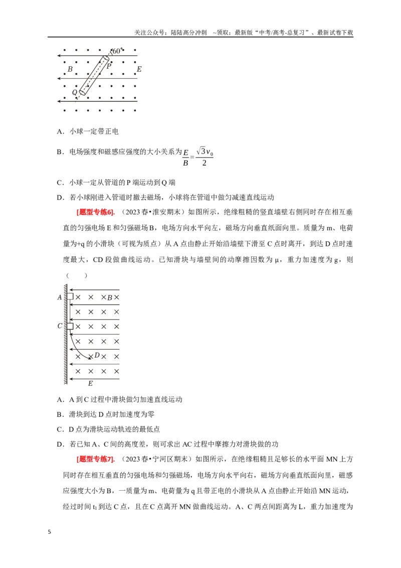 《专题22带电粒子在复合场的运动（原卷版）_04-物理-高考总复习_专项复习_2024年_2024高考物理热点知识清单题型讲练高考复习全国通用_资料》第5页预览