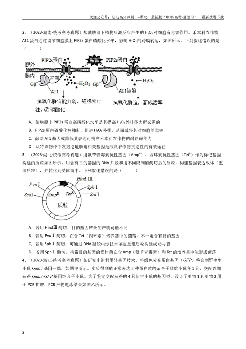 《专题25基因工程（学生版）_06-生物-高考总复习_专项复习_2024年_十年（2014-2023）高考生物真题分项汇编（全国通用）》第2页预览