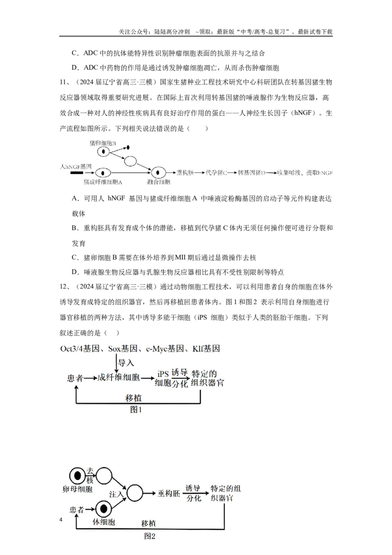 《专题19细胞工程(含胚胎工程)（原卷版）_06-生物-高考总复习_专项复习_2025年_2024年高考三模试题分类汇编生物2新高考通用》第4页预览
