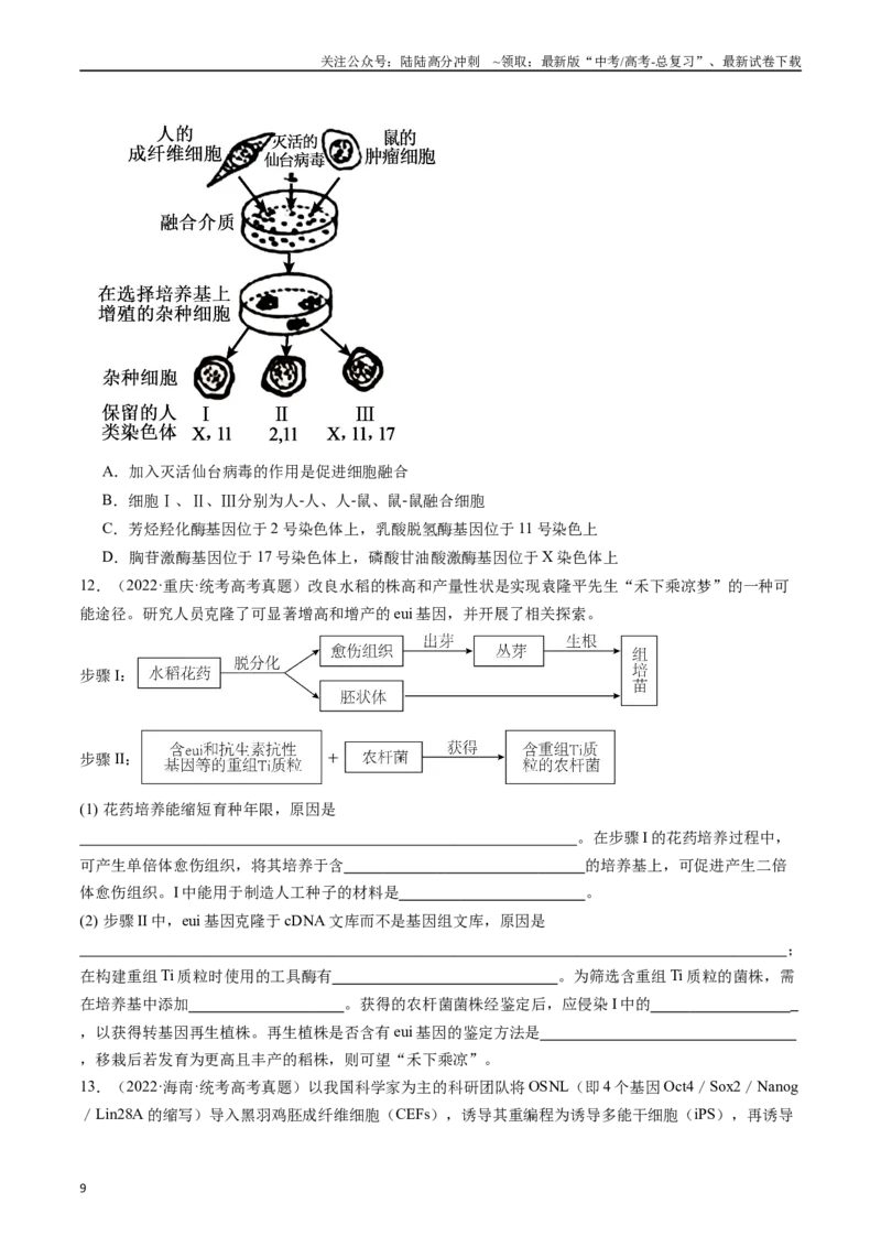 《专题24细胞工程与胚胎工程（原卷版）_06-生物-高考总复习_专项复习_2024年_2024年新高考生物复习热点考点真题模拟题必刷题练_资料》第9页预览