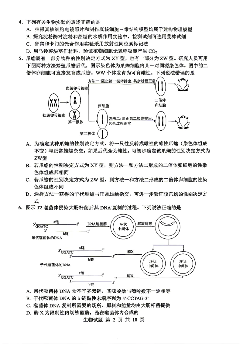 《山东省实验中学2026届高考考前模拟测试生物+答案_2024-2027高三（6-6月题库）_2026年06月高三试卷_260601山东省实验中学2026届高考考前模拟测试（全科）》第2页预览