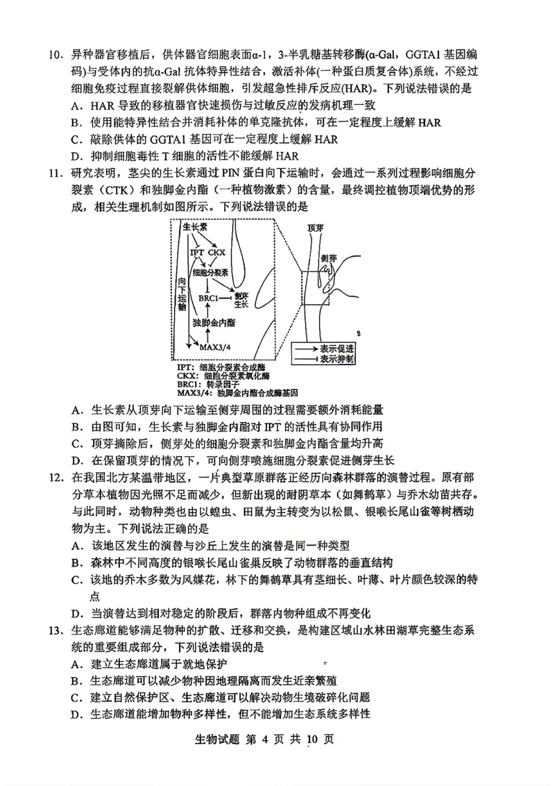《山东省实验中学2026届高考考前模拟测试生物+答案_2024-2027高三（6-6月题库）_2026年06月高三试卷_260601山东省实验中学2026届高考考前模拟测试（全科）》第4页预览