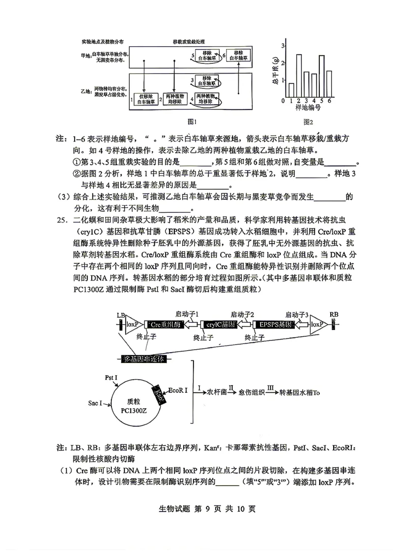 《山东省实验中学2026届高考考前模拟测试生物+答案_2024-2027高三（6-6月题库）_2026年06月高三试卷_260601山东省实验中学2026届高考考前模拟测试（全科）》第9页预览