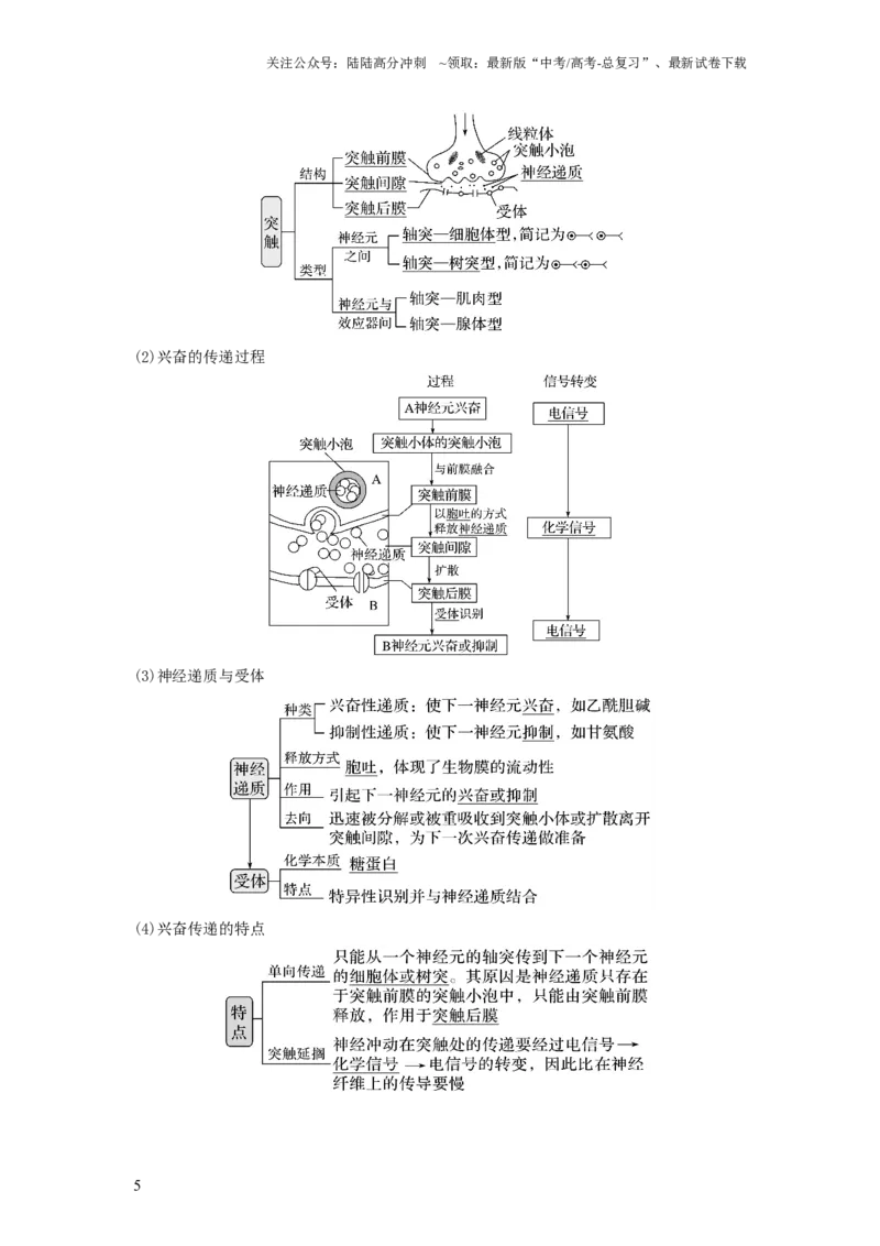 《专题24神经调节（串讲）（解析版）_06-生物-高考总复习_一轮复习_2024年_2024年高考生物一轮复习串讲精练知识点梳理练习题_串讲》第5页预览