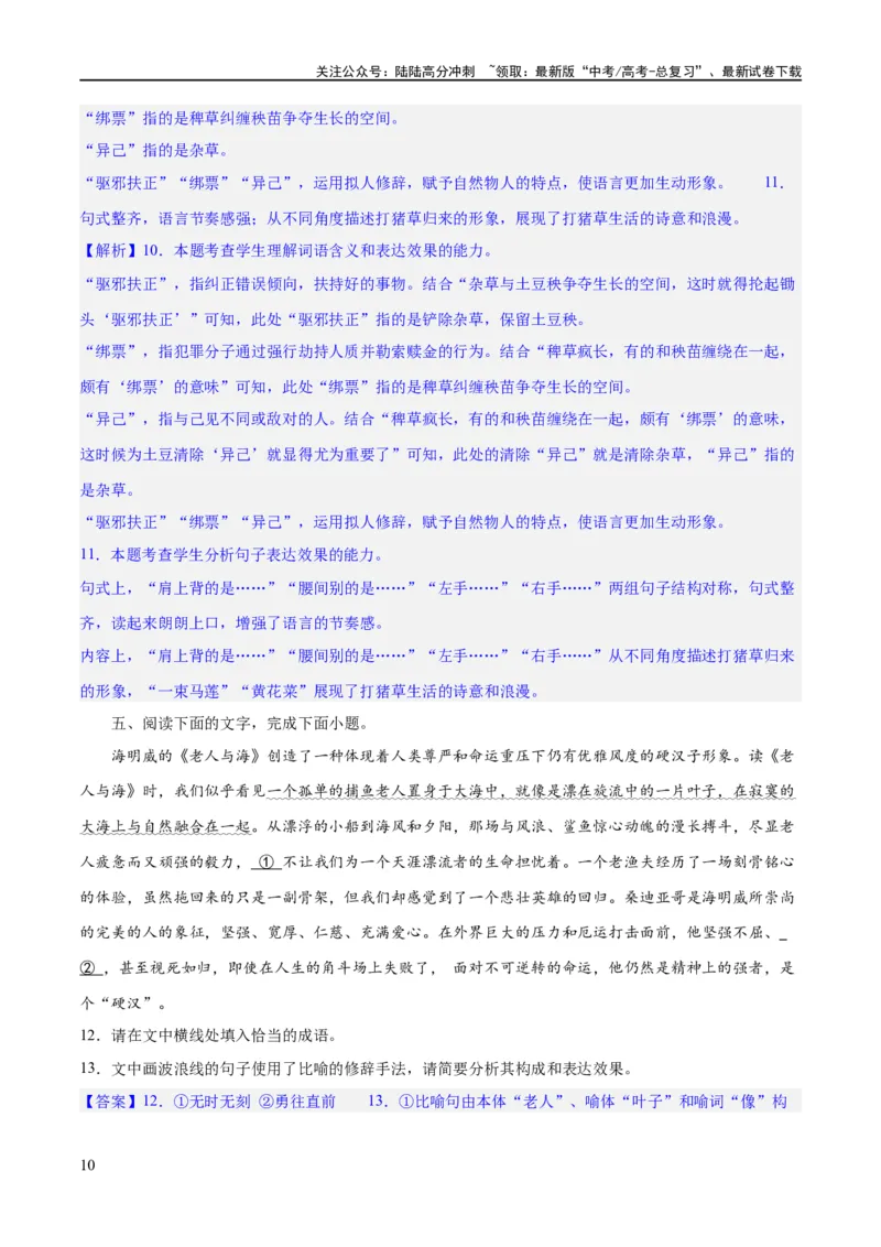 《专题26语言的表达效果类新题型（练习）-2024年高考语文二轮复习讲练测（新教材新高考）(解析版)_二轮复习_2024年_2024年高考语文二轮复习讲练测（新教材新高考）_配套练习》第10页预览