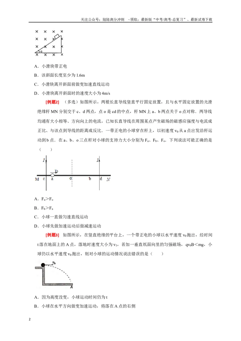 《专题20磁场对运动电荷的作用（原卷版）_04-物理-高考总复习_专项复习_2024年_2024高考物理三轮冲刺复习热点知识讲练题型归纳练_资料》第2页预览