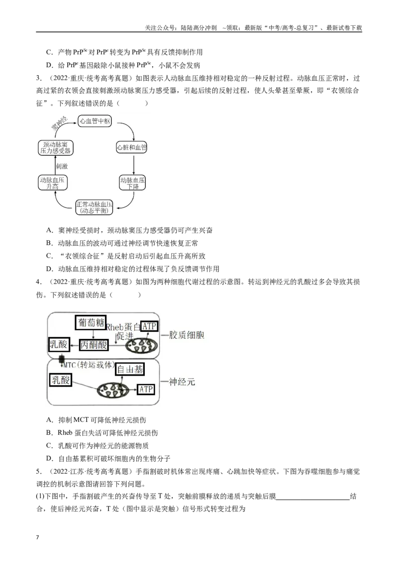 《专题20动物生命活动调节的综合（原卷版）_06-生物-高考总复习_专项复习_2024年_2024年新高考生物复习热点考点真题模拟题必刷题练_资料》第7页预览