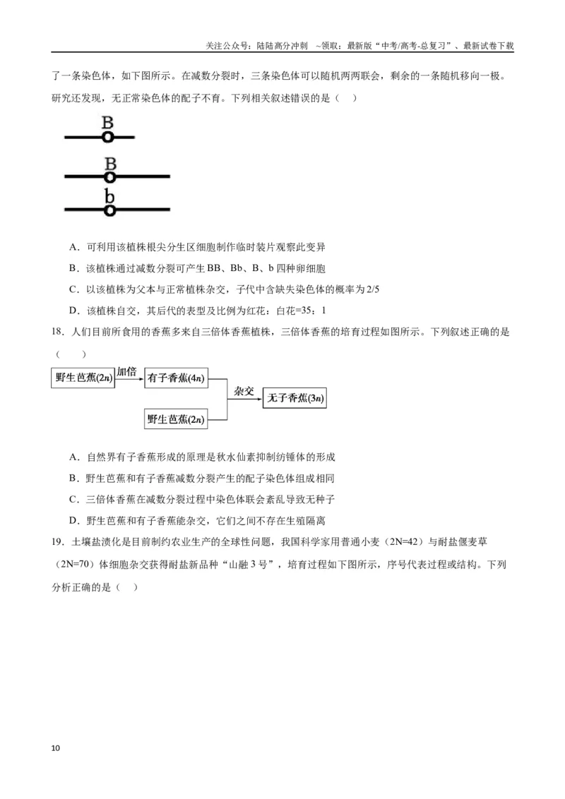 《专题23生物的变异（原卷版)_06-生物-高考总复习_一轮复习_2024年_2024年高考生物一轮复习重难点专项突破_资料》第10页预览