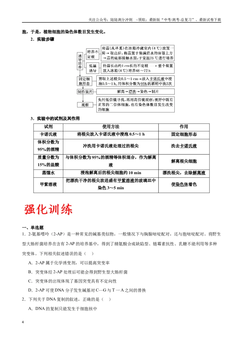 《专题23生物的变异（原卷版)_06-生物-高考总复习_一轮复习_2024年_2024年高考生物一轮复习重难点专项突破_资料》第4页预览